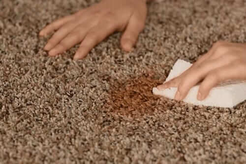 Carpet Stain Removal Mosman. Providing Professional, Quality, Efficient Steam Cleaning Services for Melbourne, Sydney, Brisbane Perth Australia