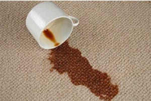 Get professionally steam cleaned carpets in Sutherland Shire Sydney with Myer Carpet Cleaning