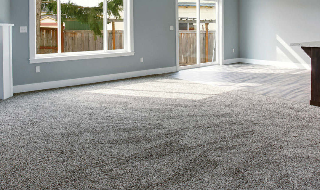 Contact Myer Carpet Cleaning