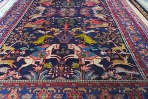 Rug cleaning in Brisbane with Myer Carpet Cleaning