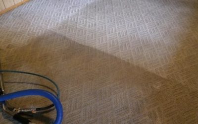 Why Your Carpet is Changing Colour