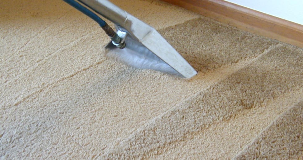 Carpet Water Stains. Professional Rug Cleaning. Servicing Melbourne, Sydney, Brisbane, Perth Australia