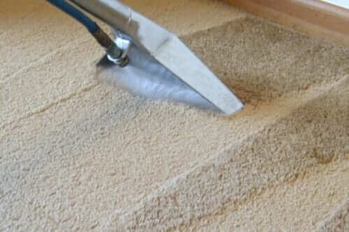 Professional Steam Carpet Cleaning