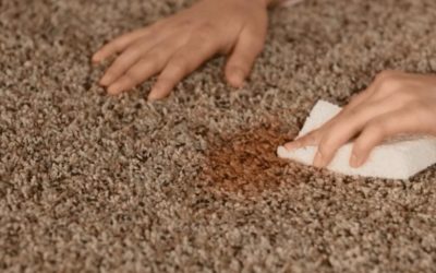 Removing Brown Carpet Stains