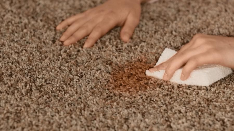 Removing Brown Carpet Stains. Professional Steam Carpet Cleaning in Melbourne, Sydney, Brisbane, Perth Australia