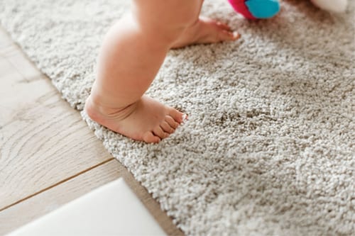 Professional Carpet Cleaning St Kilda. Providing Steam Cleaning Services for Melbourne, Sydney, Brisbane Perth Australia