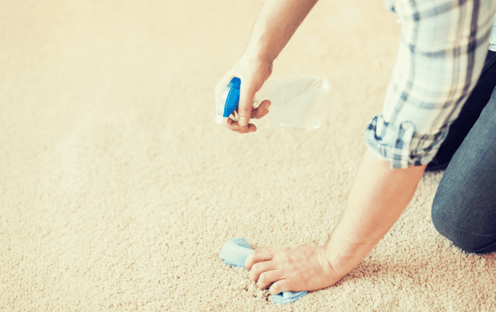 Carpet Cleaning Insider Tips