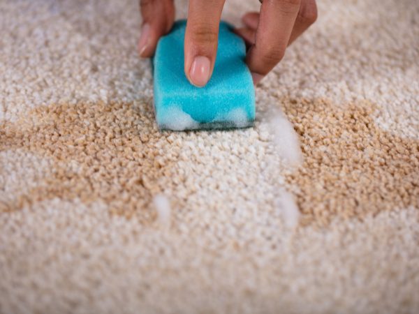 Best way to clean carpets and keep them clean by prompt stain removal