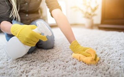 How to Clean a Wool Carpet: Step-by-Step Guide