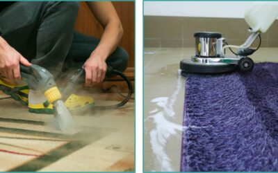 Carpet Steam Cleaning vs Shampooing: Which Is Better?