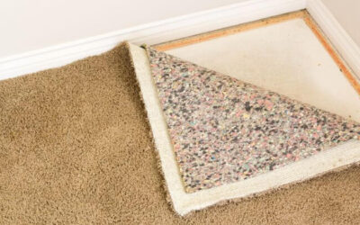 Mould on Carpet: How to Remove and Prevent