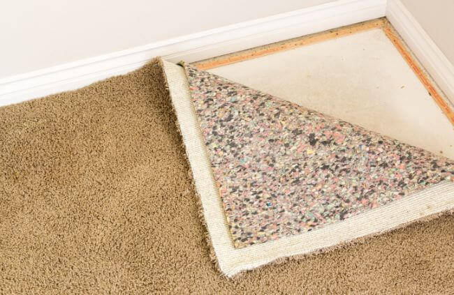 Mould on Carpet