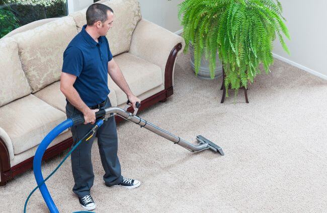 Preventing Mould Spores on Carpet