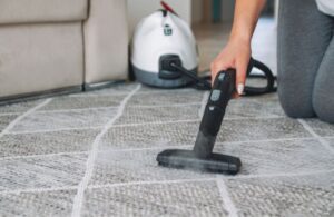 Steam cleaning is the most powerful technique for eliminating fleas.