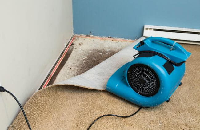 Tools Needed for Flooded Carpet Cleaning