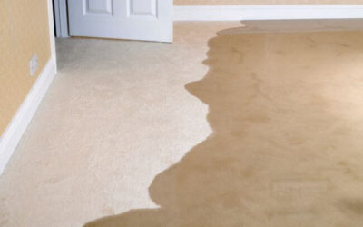 How to Restore a Water Damaged Carpet at Home