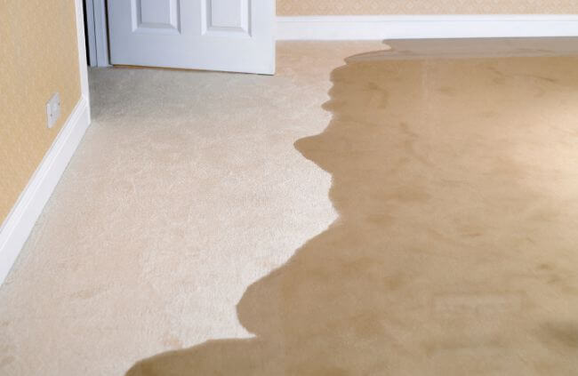 Understanding Water Damaged Carpet