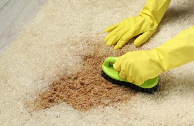 How to Clean Coffee Stains